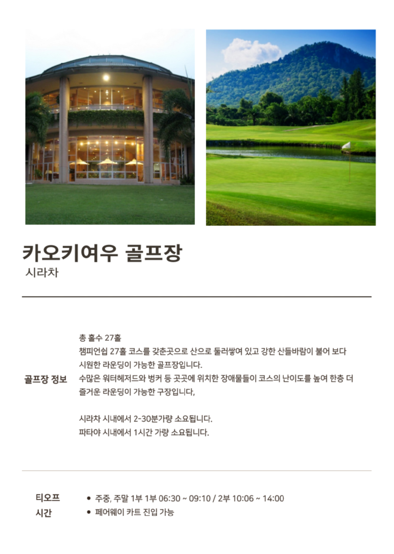 카오키여우.png