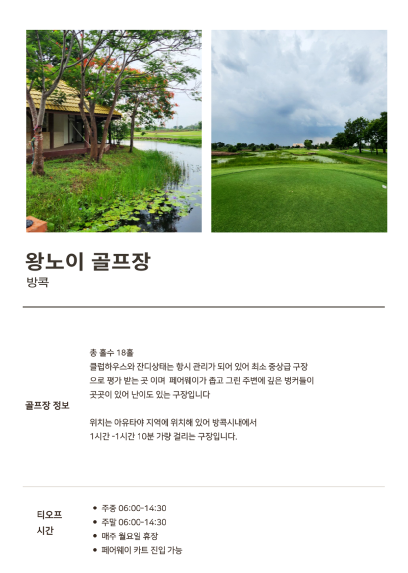 왕노이cc.png