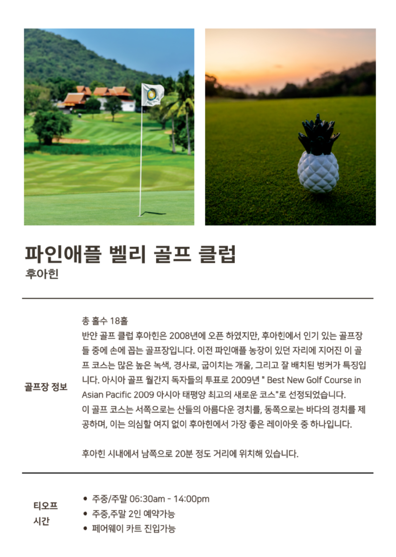 파인애플벨리.png