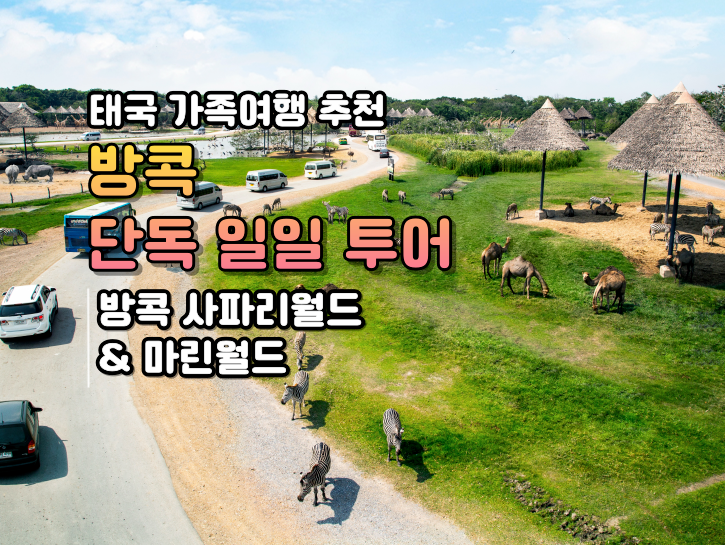 방콕-일일투어-사파리-월드-9_8-001 (1).png