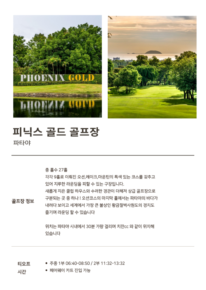 피닉스cc.png