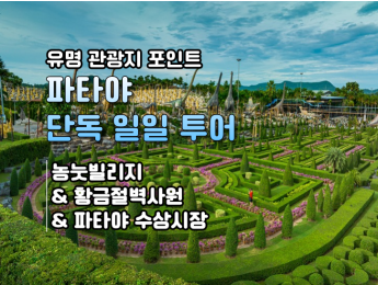 [단독일일투어] 농눗빌리지 + 황금절벽사원 + 수상시장