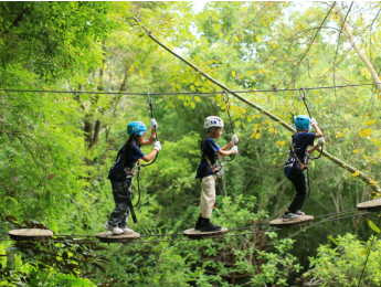 피닉스 어드벤처 파크 (집라인)