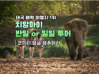 코끼리 정글 생츄어리 치앙마이 (반일투어)